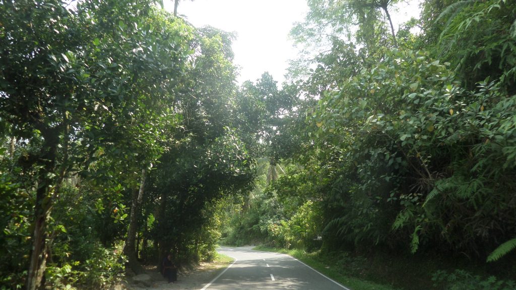 The road from Bukittinggi to Bonjol