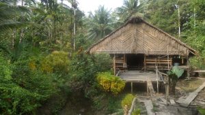 Read more about the article Mentawai culture, religion and traditions