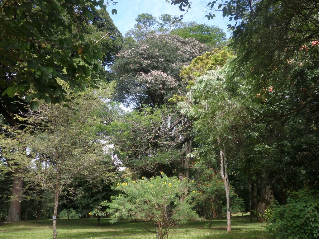 Botanical Garden, Kandy