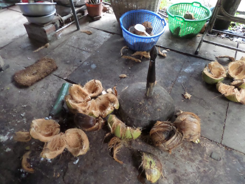 Processing coconut, My Tho, Vietnam